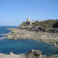 Château de Fort la Late