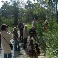 Porte ouverte sur l'assainissement par les plantes