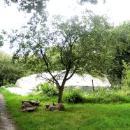 La serre P2