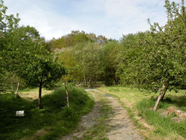 Loading Image