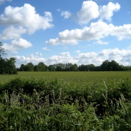 Environs