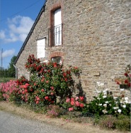 Voisin au sud