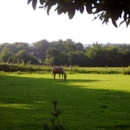Environs