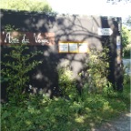 Chêne sur les buttes