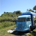 Pommes de terre