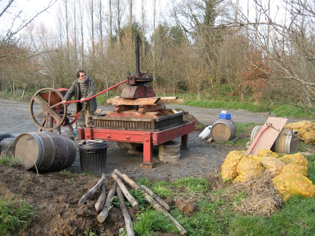 Loading Image
