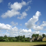 Le camping se cache dans le bois